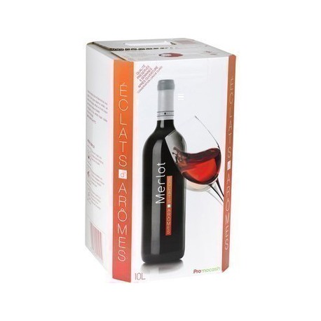 VIN MERLOT BIDON 10 L