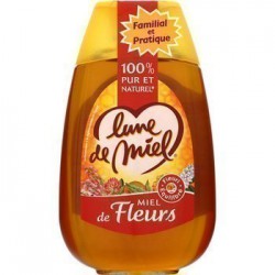 MIEL FLEUR LIQUIDE DOSE 500 G