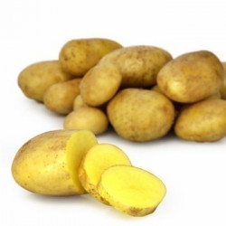 CT DE 5 PQTS DE 2 KG