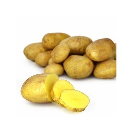 CT DE 5 PQTS DE 2 KG
