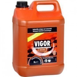 VIGOR NETTOYANT SOL 5 L