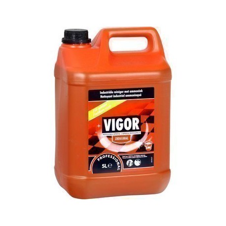 VIGOR NETTOYANT SOL 5 L