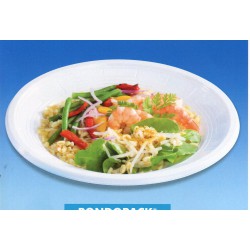 ASSIETTE PLAST. D15./100