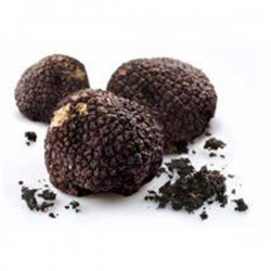 TRUFFES ENTIERES 1/32