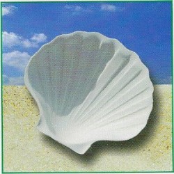 COQUILLES MINERALES/192