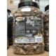 QUEUES DE MORILLES TUBO 500 GR