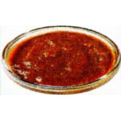 MARINADE TEX MEX SEAU  2.750 KG