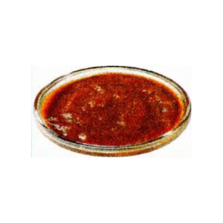 MARINADE TEX MEX SEAU  2.750 KG